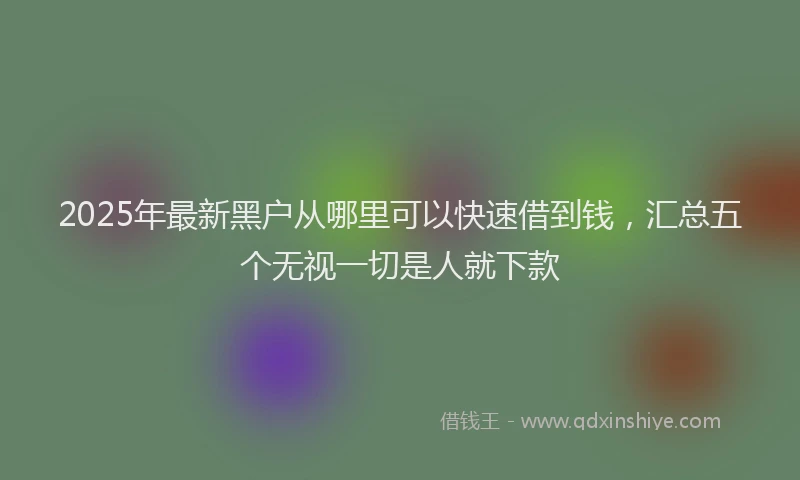 2025年最新黑户从哪里可以快速借到钱，汇总五个无视一切是人就下款