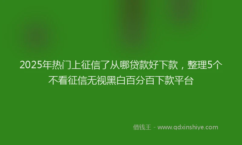 2025年热门上征信了从哪贷款好下款，整理5个不看征信无视黑白百分百下款平台