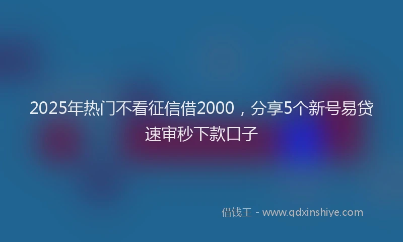 2025年热门不看征信借2000，分享5个新号易贷速审秒下款口子