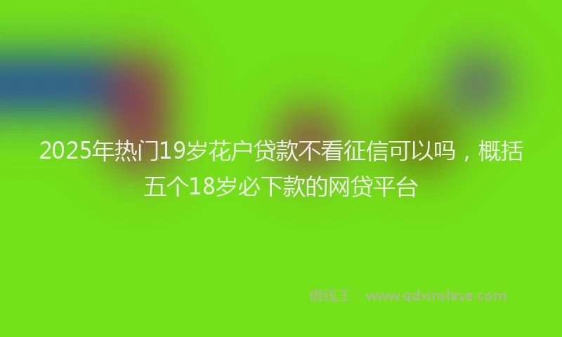 2025年热门19岁花户贷款不看征信可以吗，概括五个18岁必下款的网贷平台