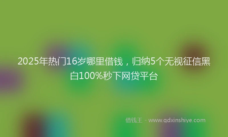 2025年热门16岁哪里借钱，归纳5个无视征信黑白100%秒下网贷平台