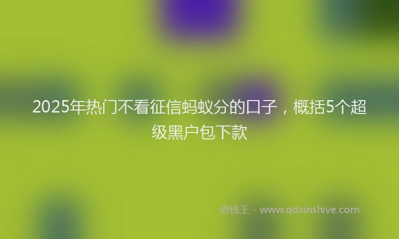 2025年热门不看征信蚂蚁分的口子，概括5个超级黑户包下款