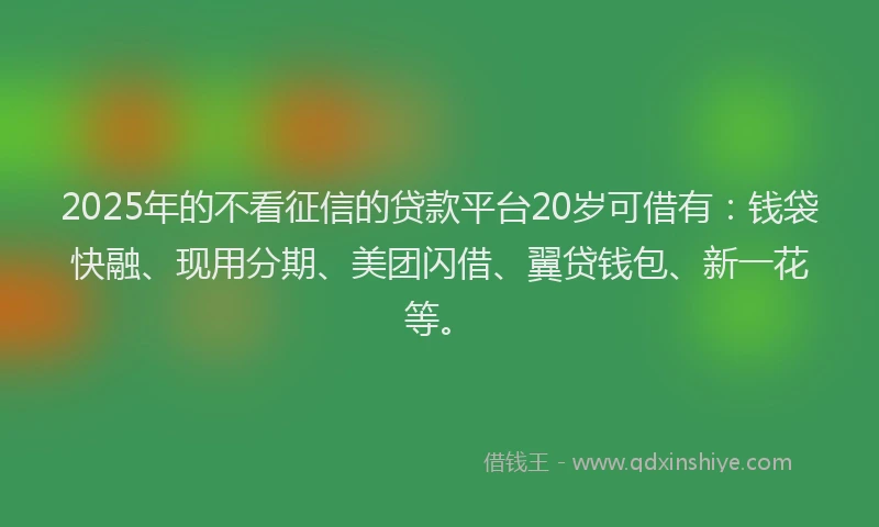 2025年的不看征信的贷款平台20岁可借有：钱袋快融、现用分期、美团闪借、翼贷钱包、新一花等。