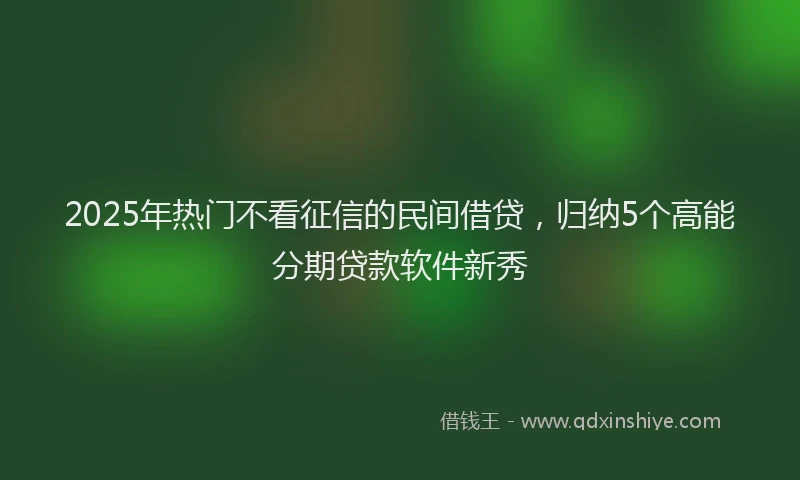 2025年热门不看征信的民间借贷，归纳5个高能分期贷款软件新秀