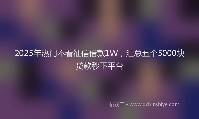 2025年热门不看征信借款1W，汇总五个5000块贷款秒下平台