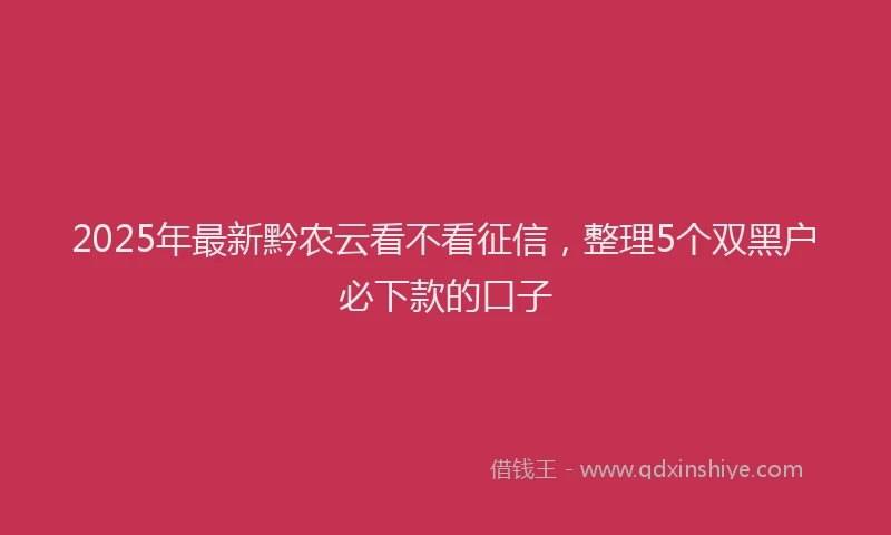 2025年最新黔农云看不看征信，整理5个双黑户必下款的口子