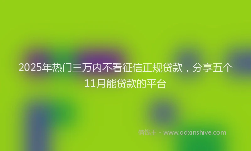 2025年热门三万内不看征信正规贷款，分享五个11月能贷款的平台