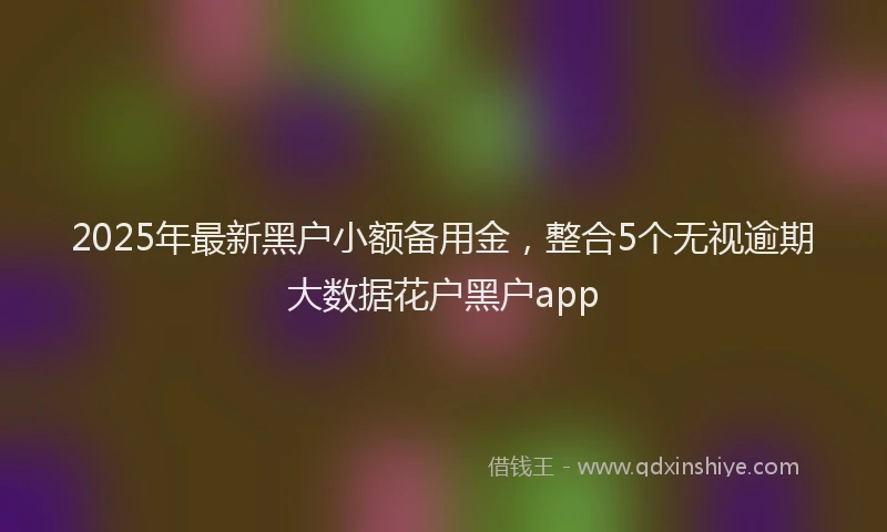 2025年最新黑户小额备用金，整合5个无视逾期大数据花户黑户app