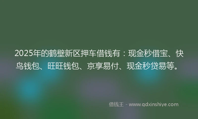 2025年的鹤壁新区押车借钱有：现金秒借宝、快鸟钱包、旺旺钱包、京享易付、现金秒贷易等。