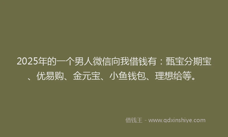 2025年的一个男人微信向我借钱有：甄宝分期宝、优易购、金元宝、小鱼钱包、理想给等。