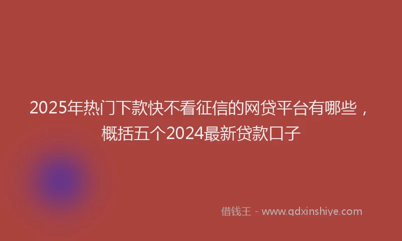 2025年热门下款快不看征信的网贷平台有哪些，概括五个2024最新贷款口子