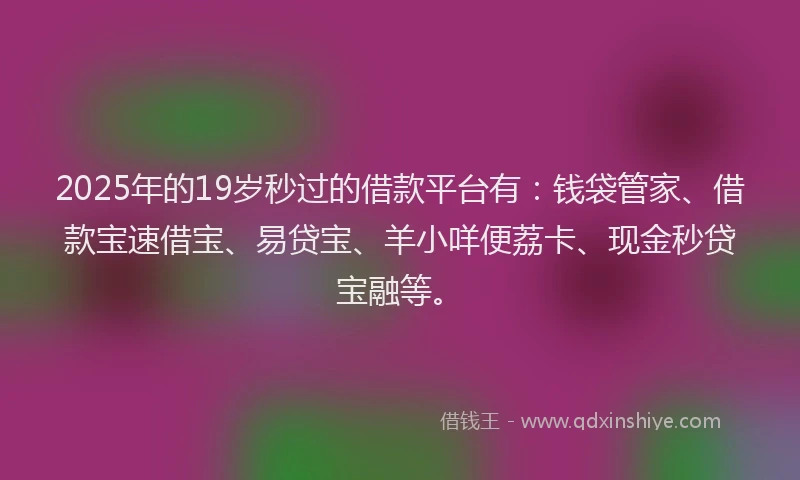 2025年的19岁秒过的借款平台有：钱袋管家、借款宝速借宝、易贷宝、羊小咩便荔卡、现金秒贷宝融等。