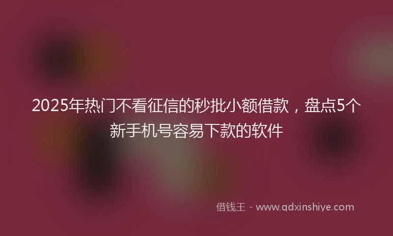 2025年热门不看征信的秒批小额借款，盘点5个新手机号容易下款的软件
