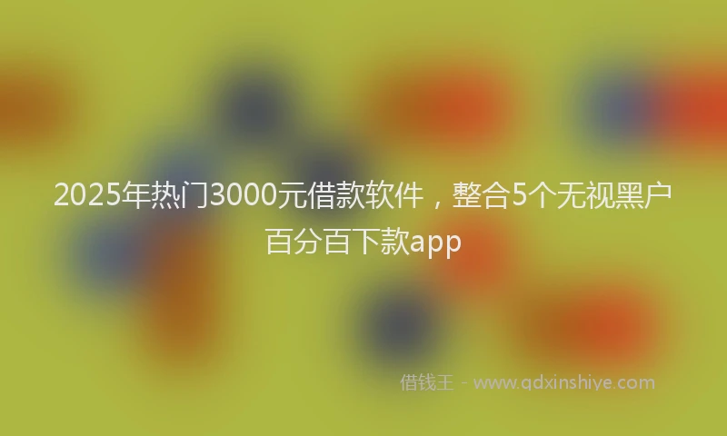 2025年热门3000元借款软件，整合5个无视黑户百分百下款app