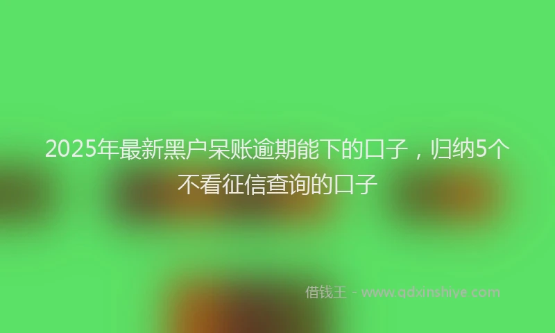 2025年最新黑户呆账逾期能下的口子，归纳5个不看征信查询的口子