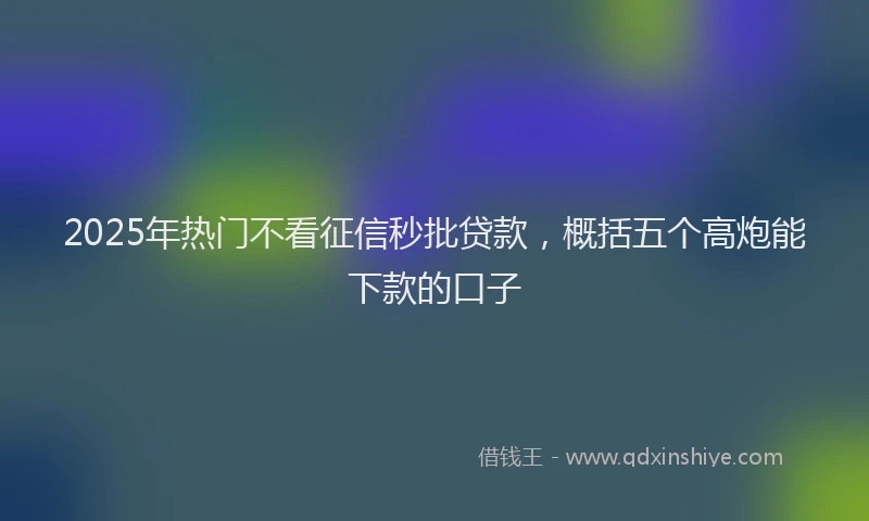 2025年热门不看征信秒批贷款，概括五个高炮能下款的口子
