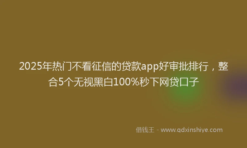 2025年热门不看征信的贷款app好审批排行,整合5个无视黑白100%秒下网贷口子
