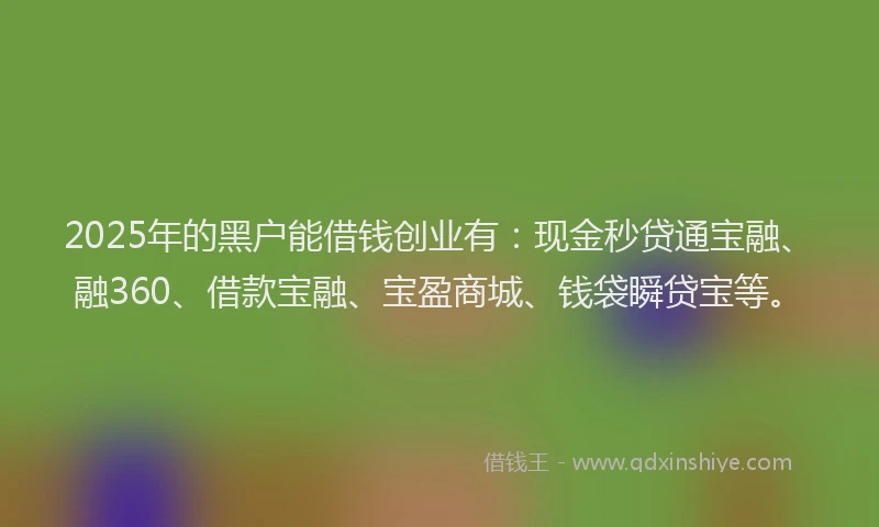 2025年的黑户能借钱创业有：现金秒贷通宝融、融360、借款宝融、宝盈商城、钱袋瞬贷宝等。