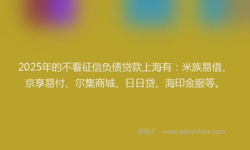 2025年的不看征信负债贷款上海有：米族易借、京享易付、尔集商城、日日贷、海印金服等。