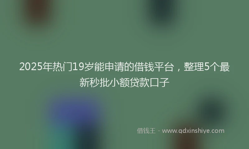 2025年热门19岁能申请的借钱平台，整理5个最新秒批小额贷款口子