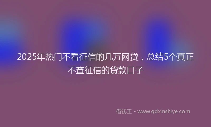 2025年热门不看征信的几万网贷，总结5个真正不查征信的贷款口子