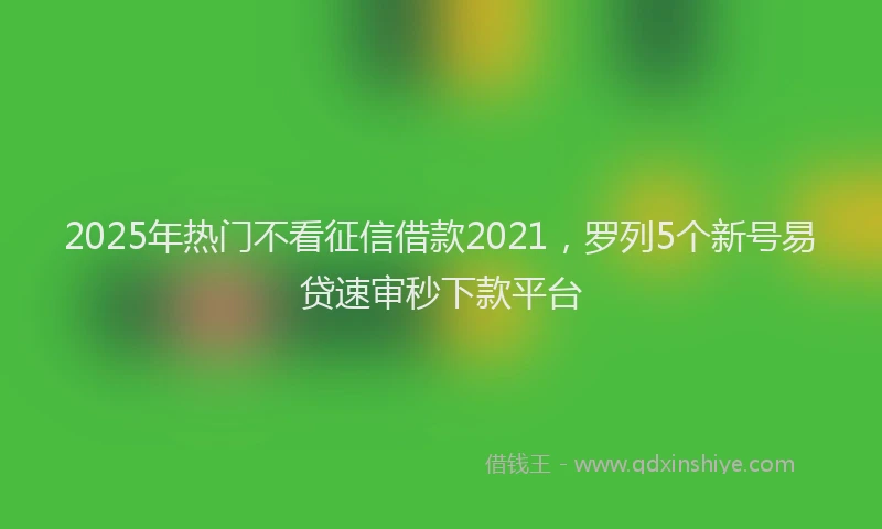2025年热门不看征信借款2021，罗列5个新号易贷速审秒下款平台