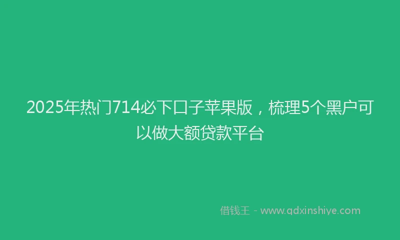 2025年热门714必下口子苹果版，梳理5个黑户可以做大额贷款平台