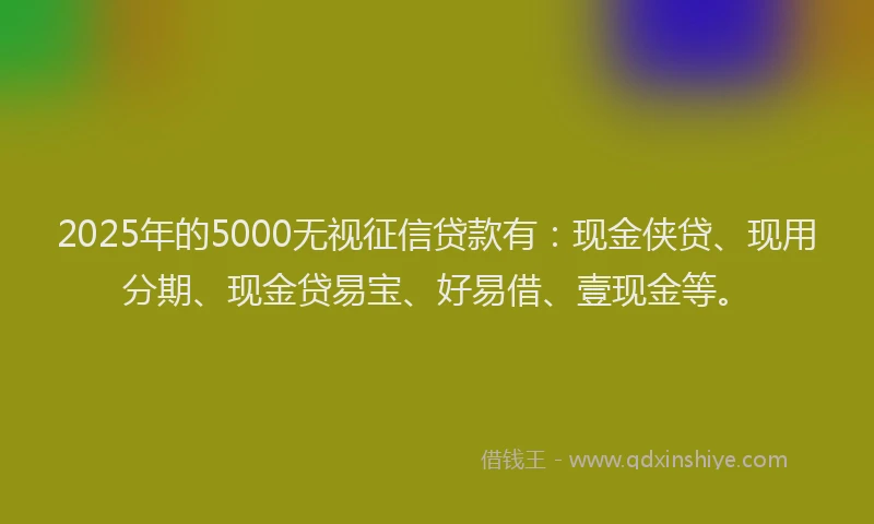 2025年的5000无视征信贷款有：现金侠贷、现用分期、现金贷易宝、好易借、壹现金等。