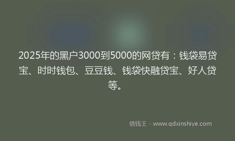 2025年的黑户3000到5000的网贷有：钱袋易贷宝、时时钱包、豆豆钱、钱袋快融贷宝、好人贷等。