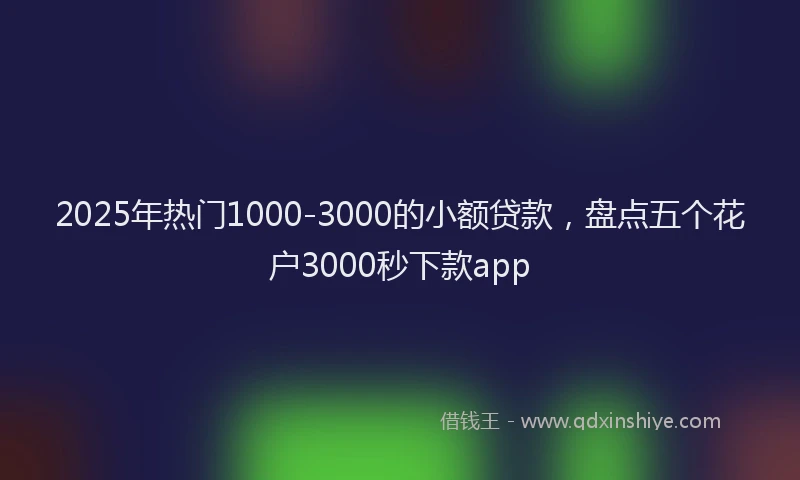 2025年热门1000-3000的小额贷款，盘点五个花户3000秒下款app