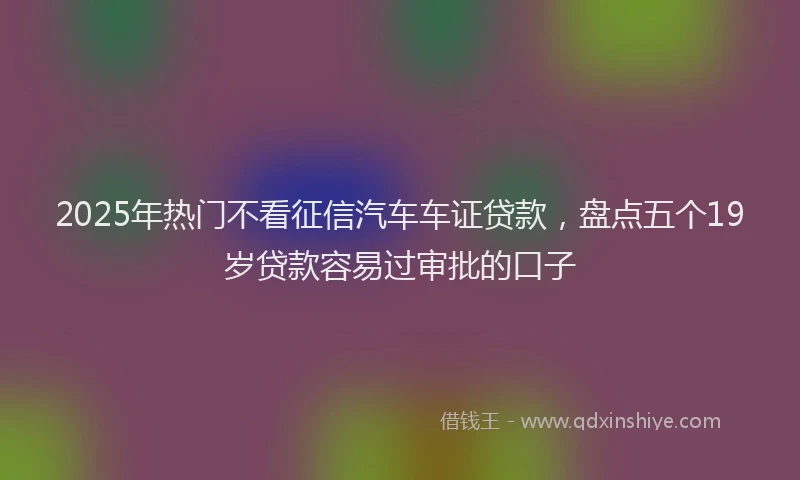 2025年热门不看征信汽车车证贷款，盘点五个19岁贷款容易过审批的口子