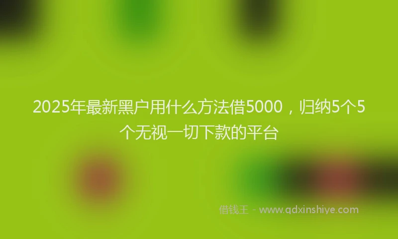2025年最新黑户用什么方法借5000，归纳5个5个无视一切下款的平台