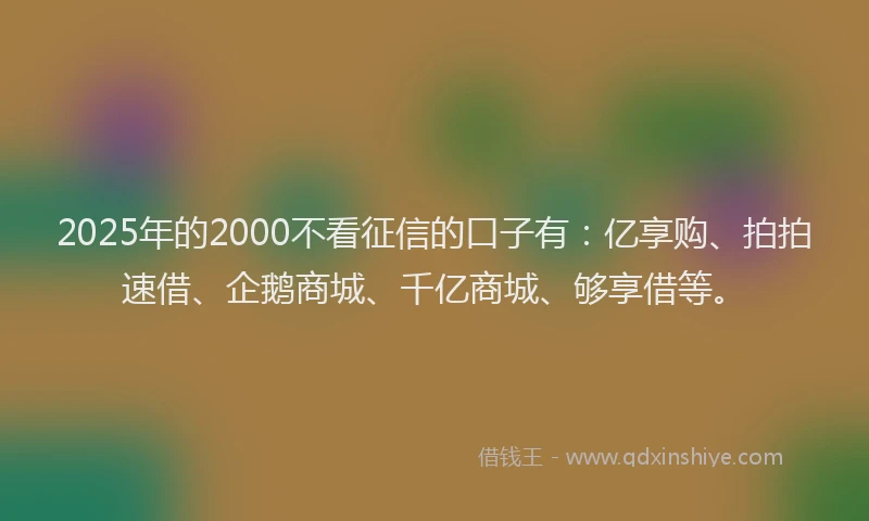 2025年的2000不看征信的口子有：亿享购、拍拍速借、企鹅商城、千亿商城、够享借等。