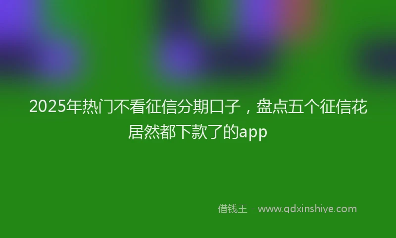 2025年热门不看征信分期口子，盘点五个征信花居然都下款了的app