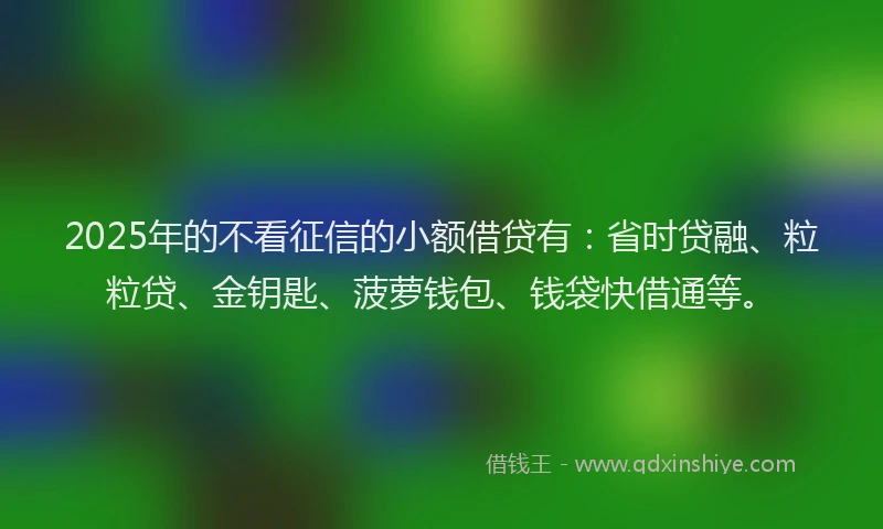2025年的不看征信的小额借贷有：省时贷融、粒粒贷、金钥匙、菠萝钱包、钱袋快借通等。