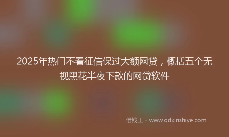 2025年热门不看征信保过大额网贷，概括五个无视黑花半夜下款的网贷软件