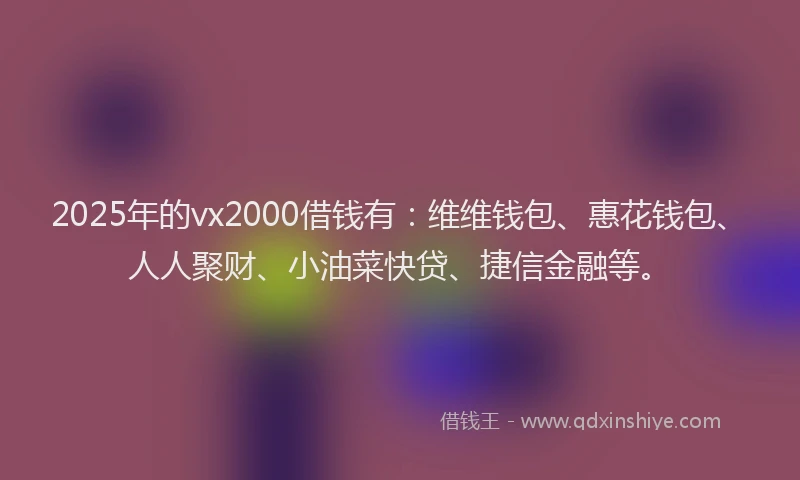2025年的vx2000借钱有：维维钱包、惠花钱包、人人聚财、小油菜快贷、捷信金融等。