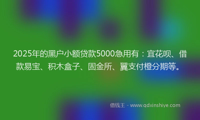 2025年的黑户小额贷款5000急用有：宜花呗、借款易宝、积木盒子、固金所、翼支付橙分期等。