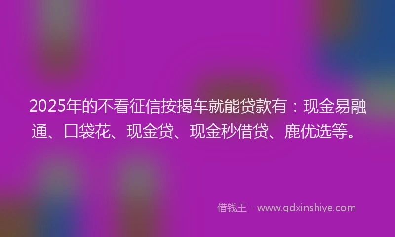 2025年的不看征信按揭车就能贷款有：现金易融通、口袋花、现金贷、现金秒借贷、鹿优选等。