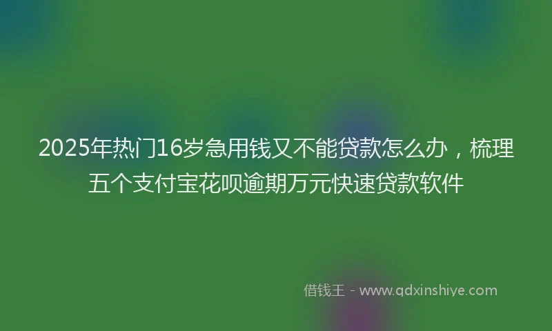 2025年热门16岁急用钱又不能贷款怎么办，梳理五个支付宝花呗逾期万元快速贷款软件