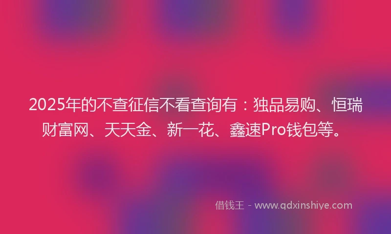 2025年的不查征信不看查询有：独品易购、恒瑞财富网、天天金、新一花、鑫速Pro钱包等。
