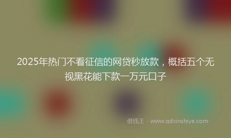 2025年热门不看征信的网贷秒放款，概括五个无视黑花能下款一万元口子