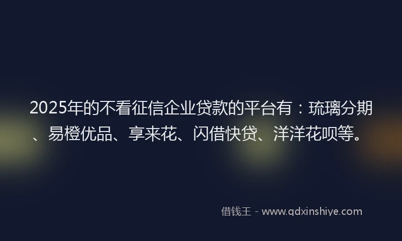 2025年的不看征信企业贷款的平台有：琉璃分期、易橙优品、享来花、闪借快贷、洋洋花呗等。