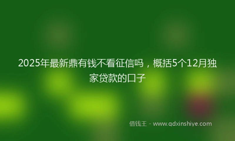 2025年最新鼎有钱不看征信吗，概括5个12月独家贷款的口子