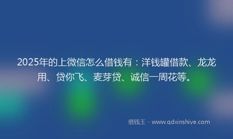 2025年的上微信怎么借钱有:洋钱罐借款、龙龙用、贷你飞、麦芽贷、诚信一周花等。