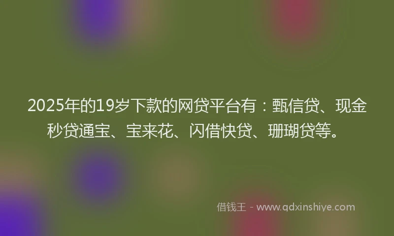 2025年的19岁下款的网贷平台有：甄信贷、现金秒贷通宝、宝来花、闪借快贷、珊瑚贷等。