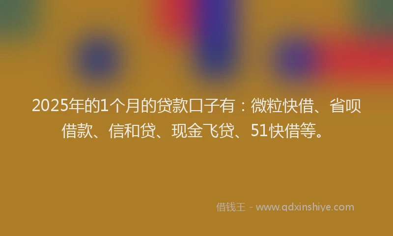 2025年的1个月的贷款口子有：微粒快借、省呗借款、信和贷、现金飞贷、51快借等。