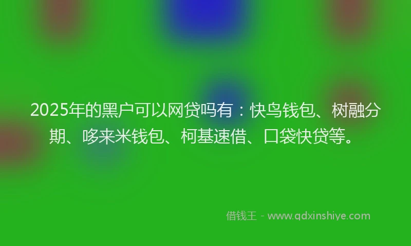 2025年的黑户可以网贷吗有：快鸟钱包、树融分期、哆来米钱包、柯基速借、口袋快贷等。