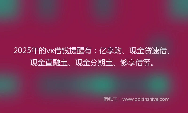 2025年的vx借钱提醒有：亿享购、现金贷速借、现金直融宝、现金分期宝、够享借等。