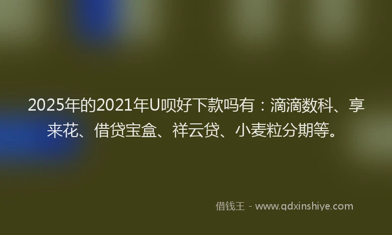 2025年的2021年U呗好下款吗有：滴滴数科、享来花、借贷宝盒、祥云贷、小麦粒分期等。